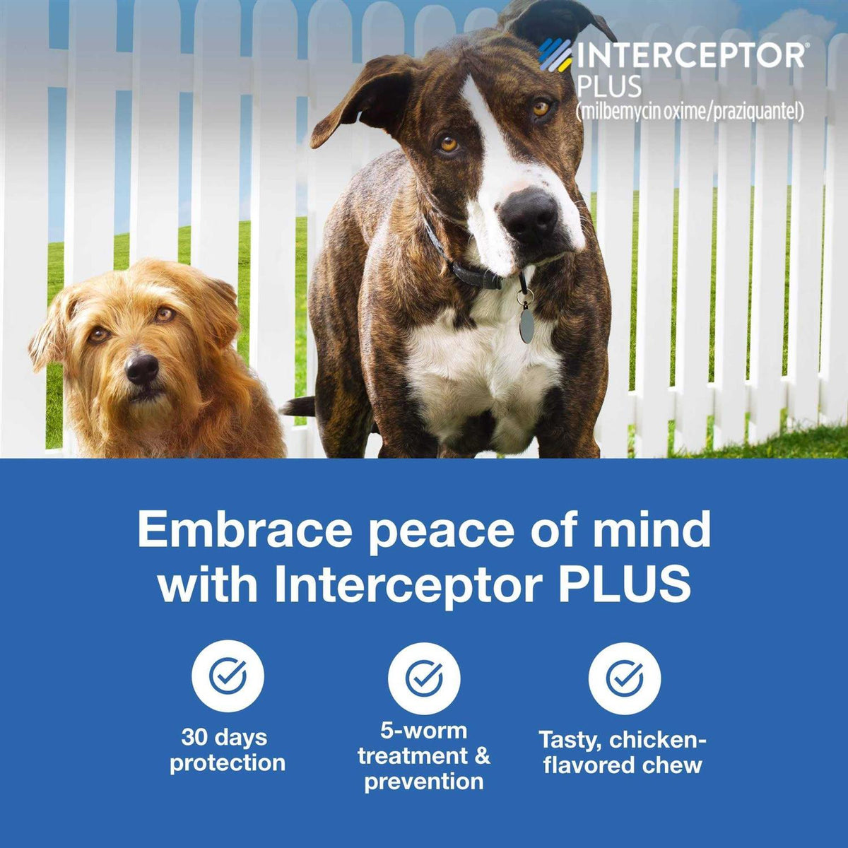 Chewable for Dogs H748