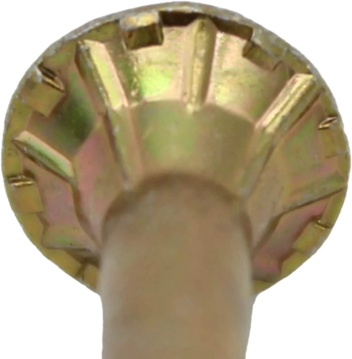 2" Gold Star Wood Torx/Star Drive Head J5095