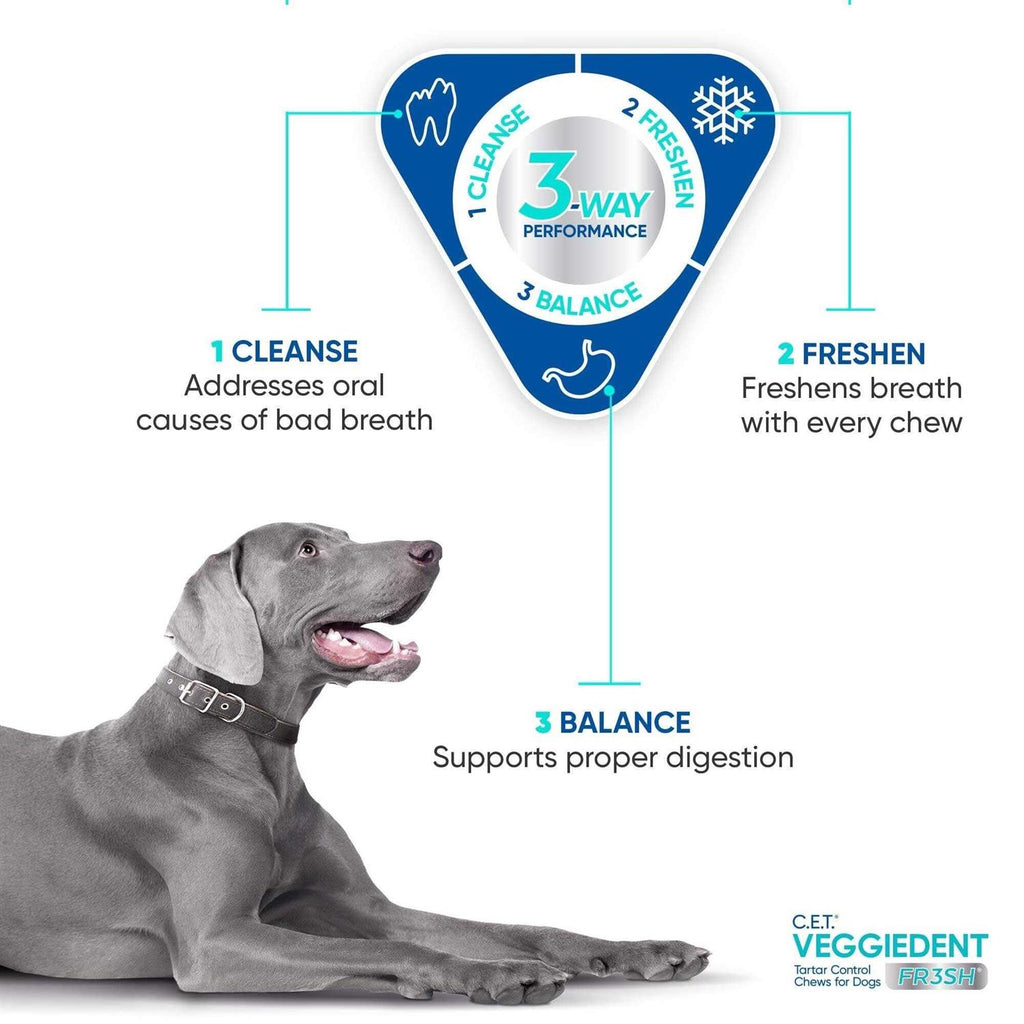 VeggieDent Tartar Control Chews for Dogs Y310849