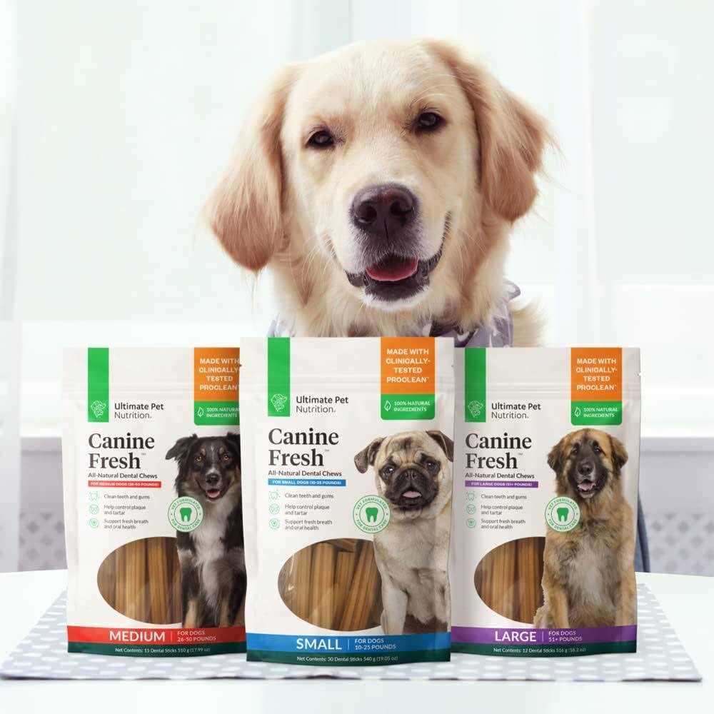 All Natural Canine Dental Chews Sticks V653153