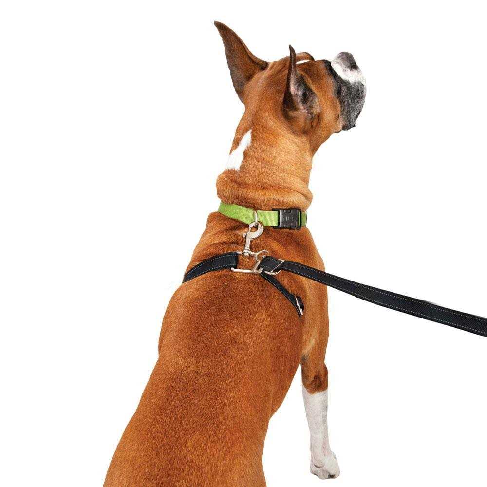 Retractable Dog Leash K264