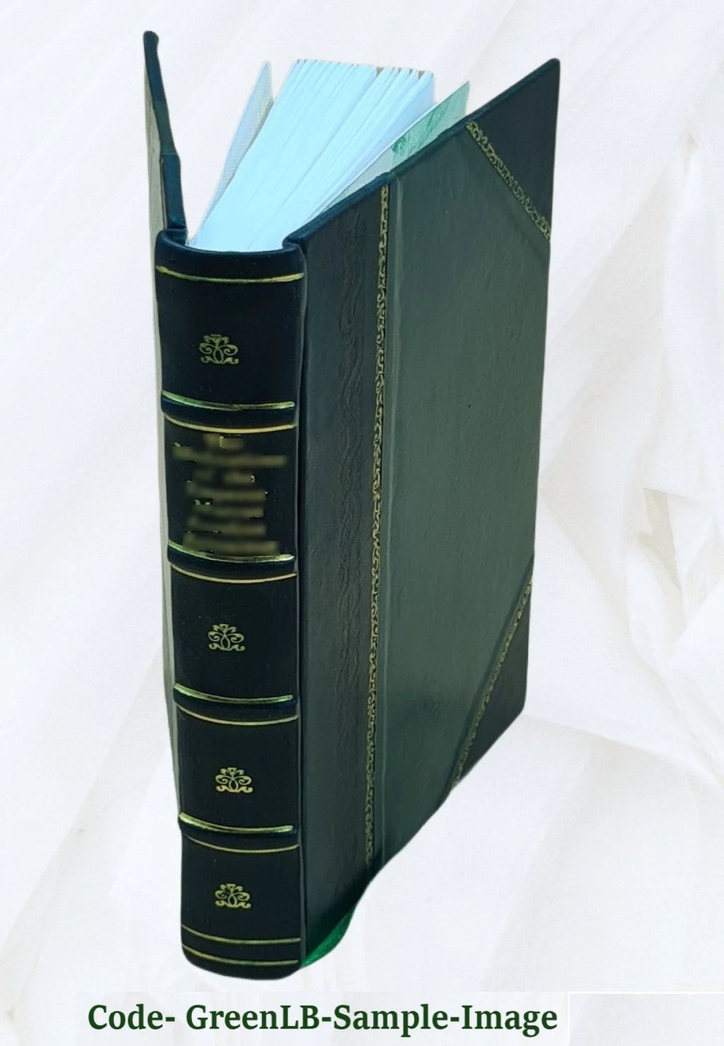 Leather Bound Book N259