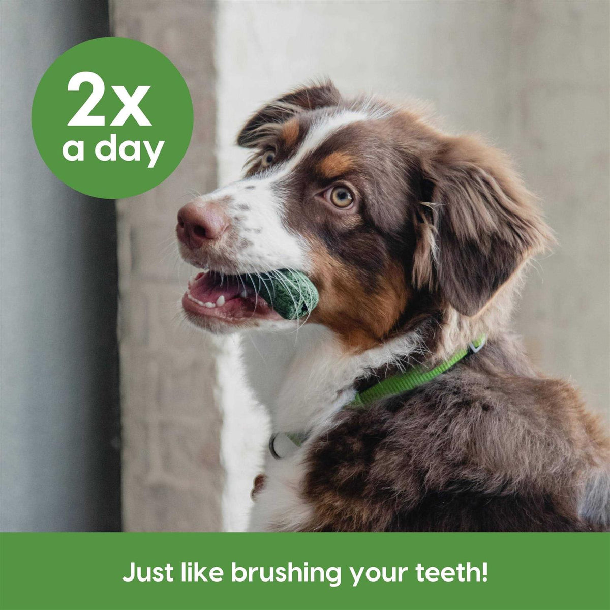 Sensitive Gums Brushless Toothpaste L368