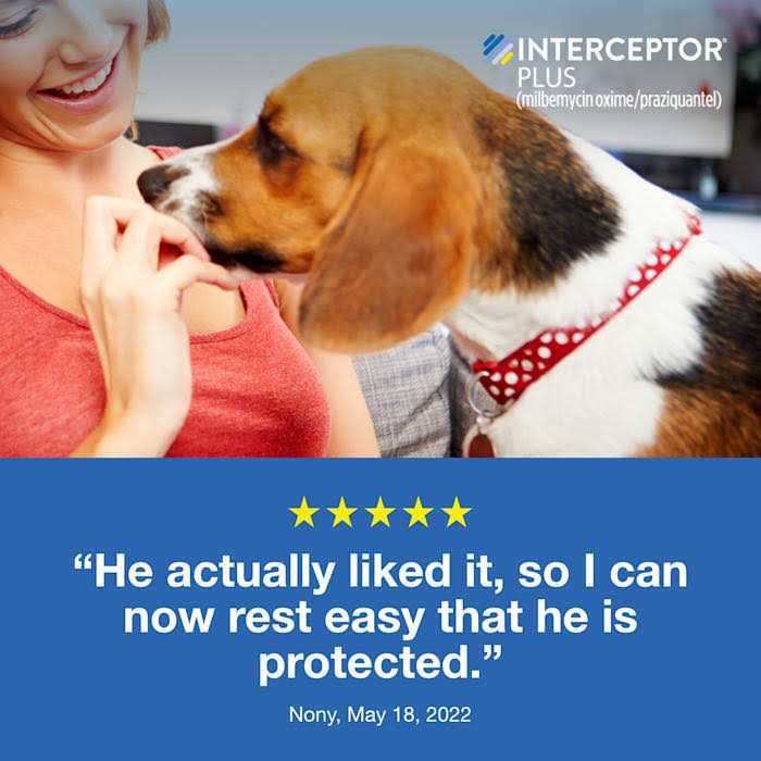 Chewable for Dogs H748