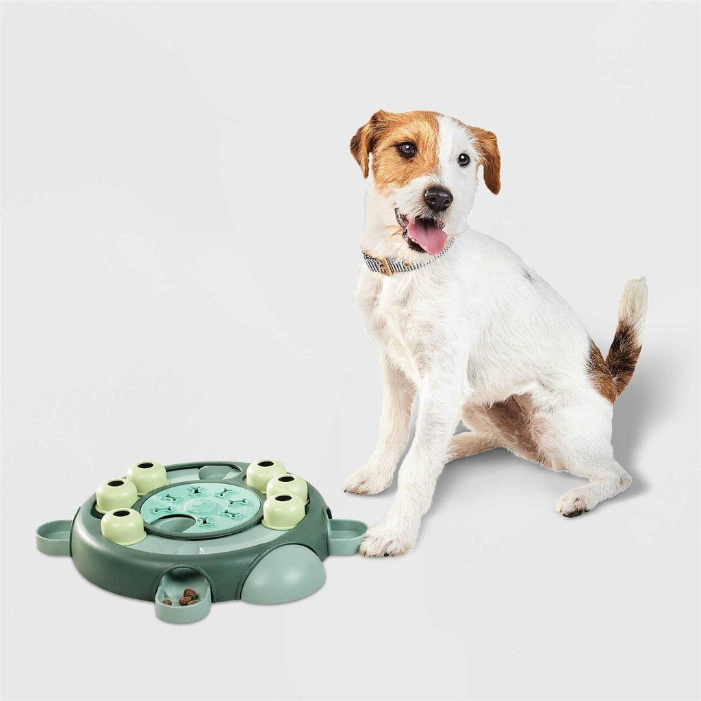 Turtle Puzzle Dog Toy H35105