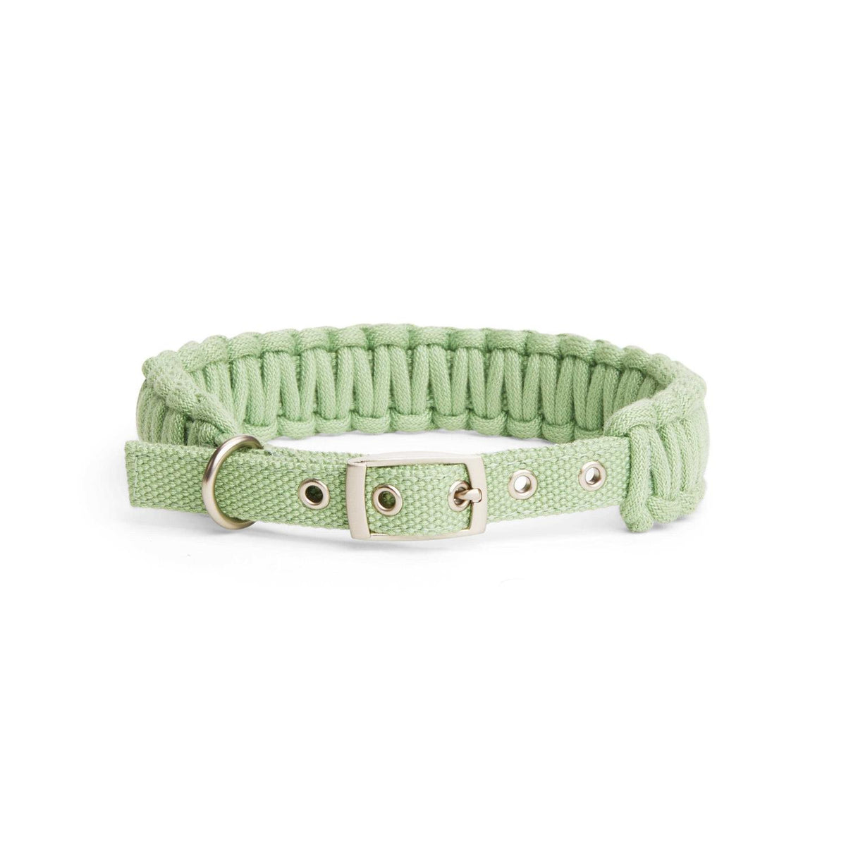 Macrame Dog Collar O696