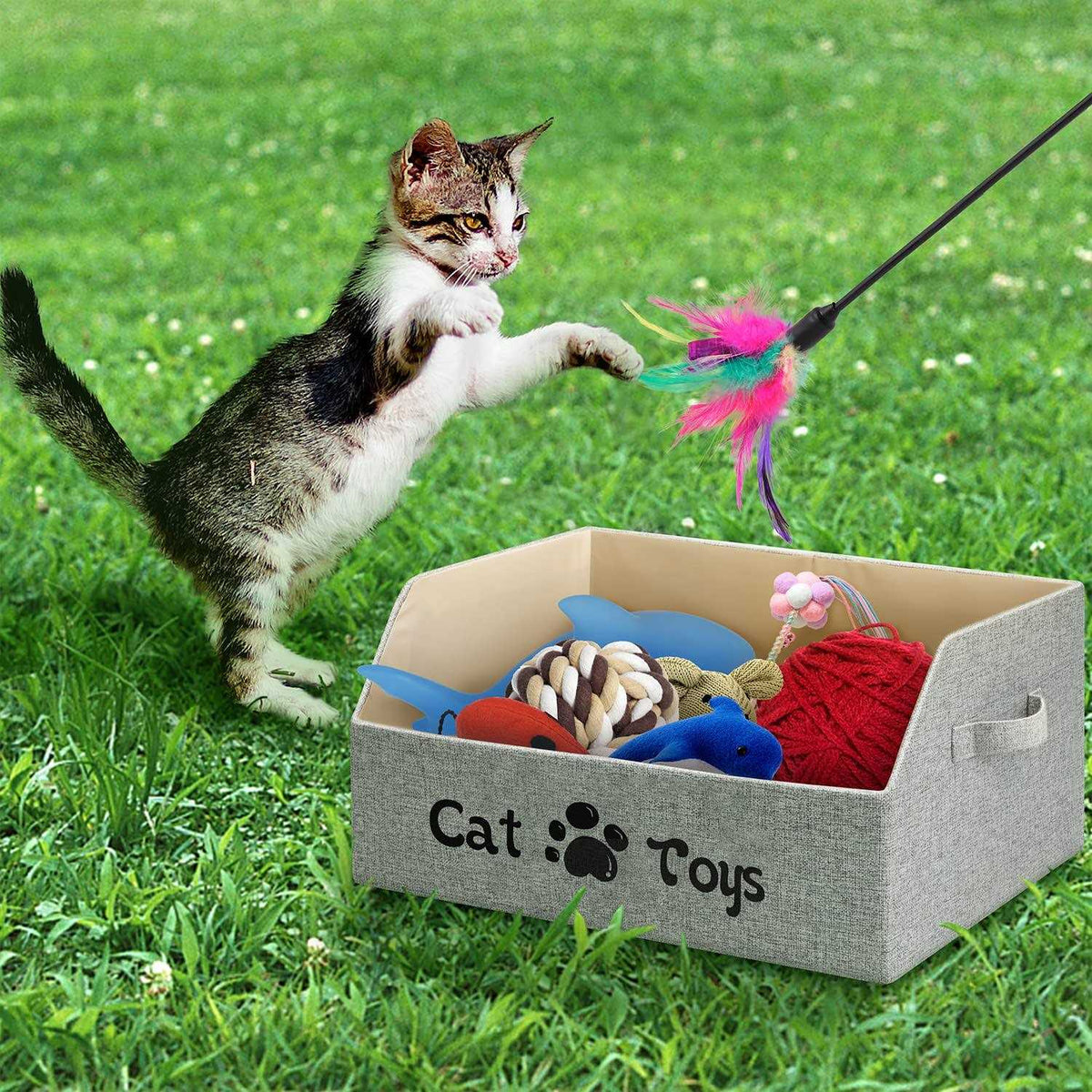 Large Foldable Cat Toy Storage Box K55312