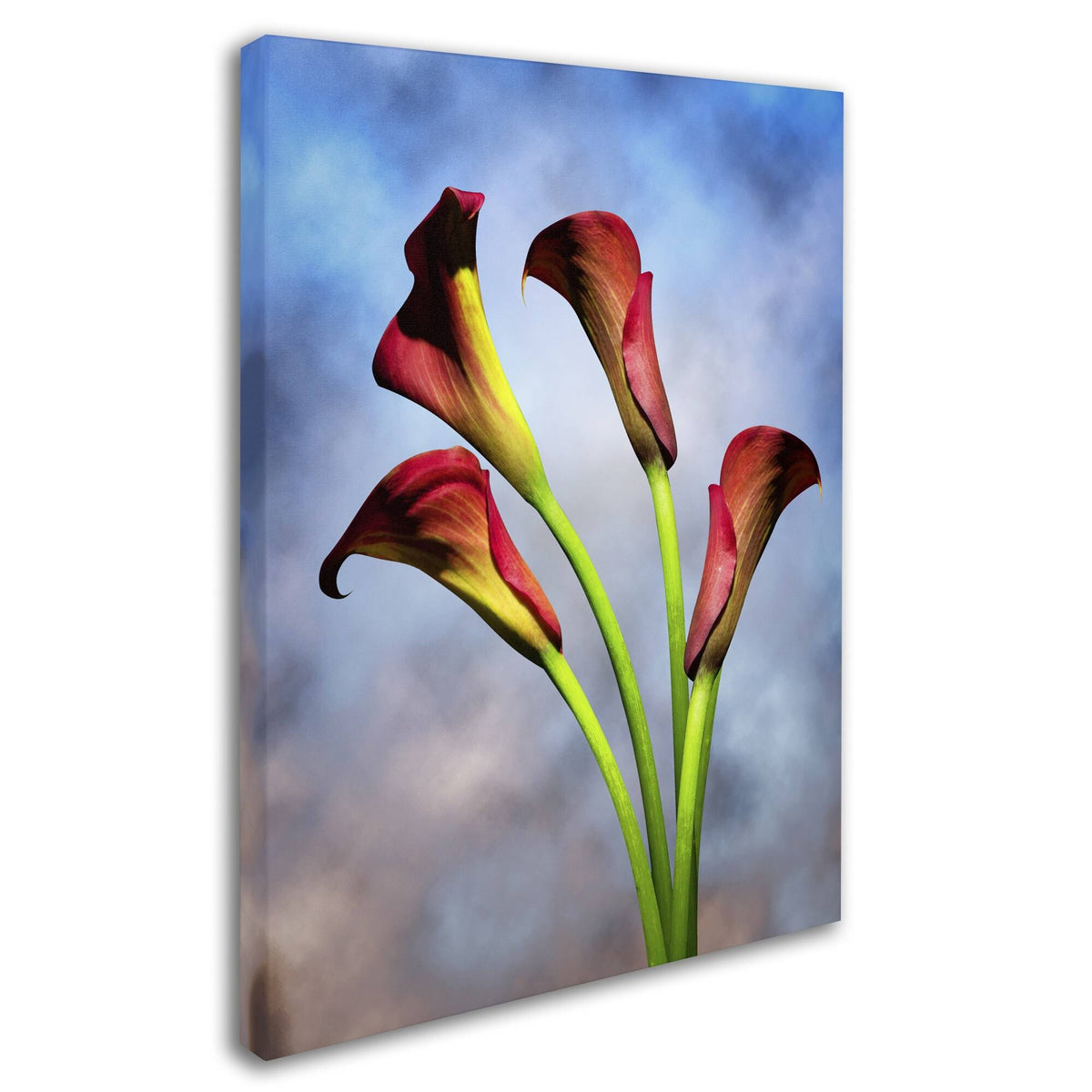 Canvas M182
