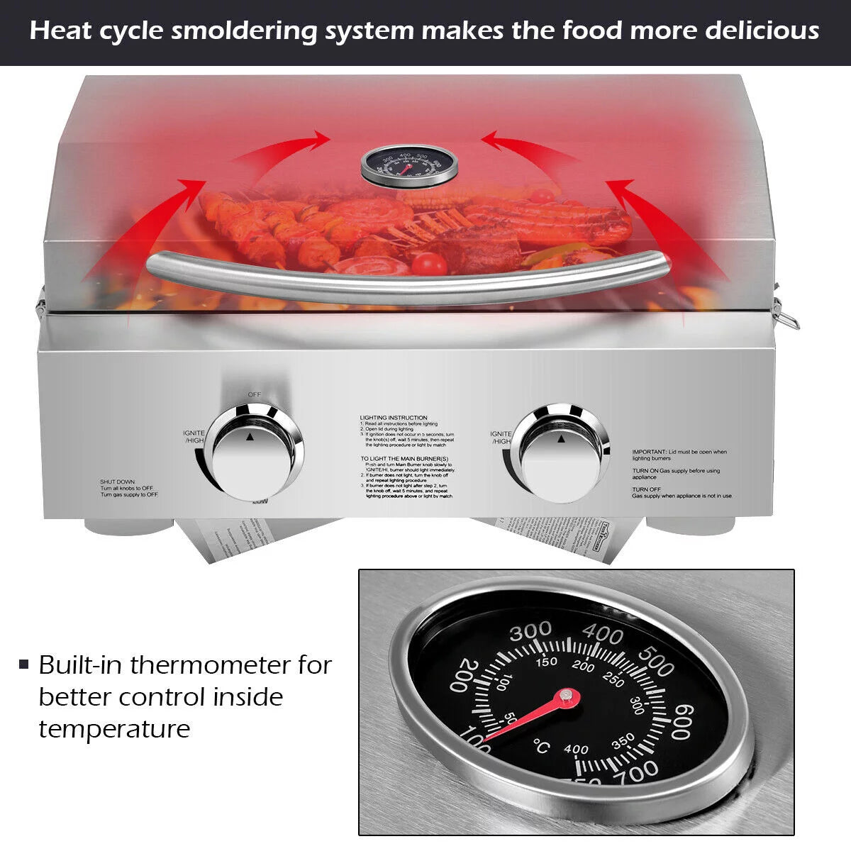 2 Burner Portable Propane Gas Grill Stainless Steel E6072