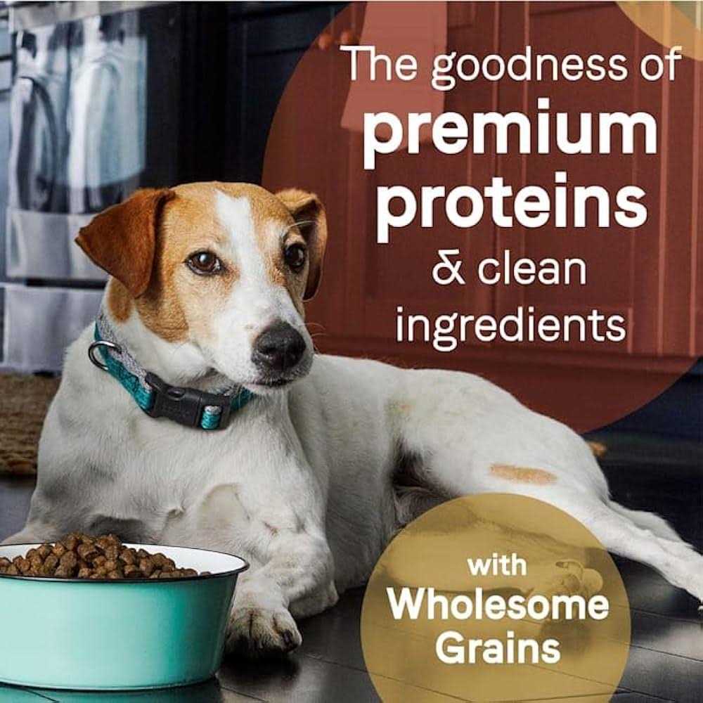 Grain Free Salmon & Sweet Potato Dry Dog Food G3645