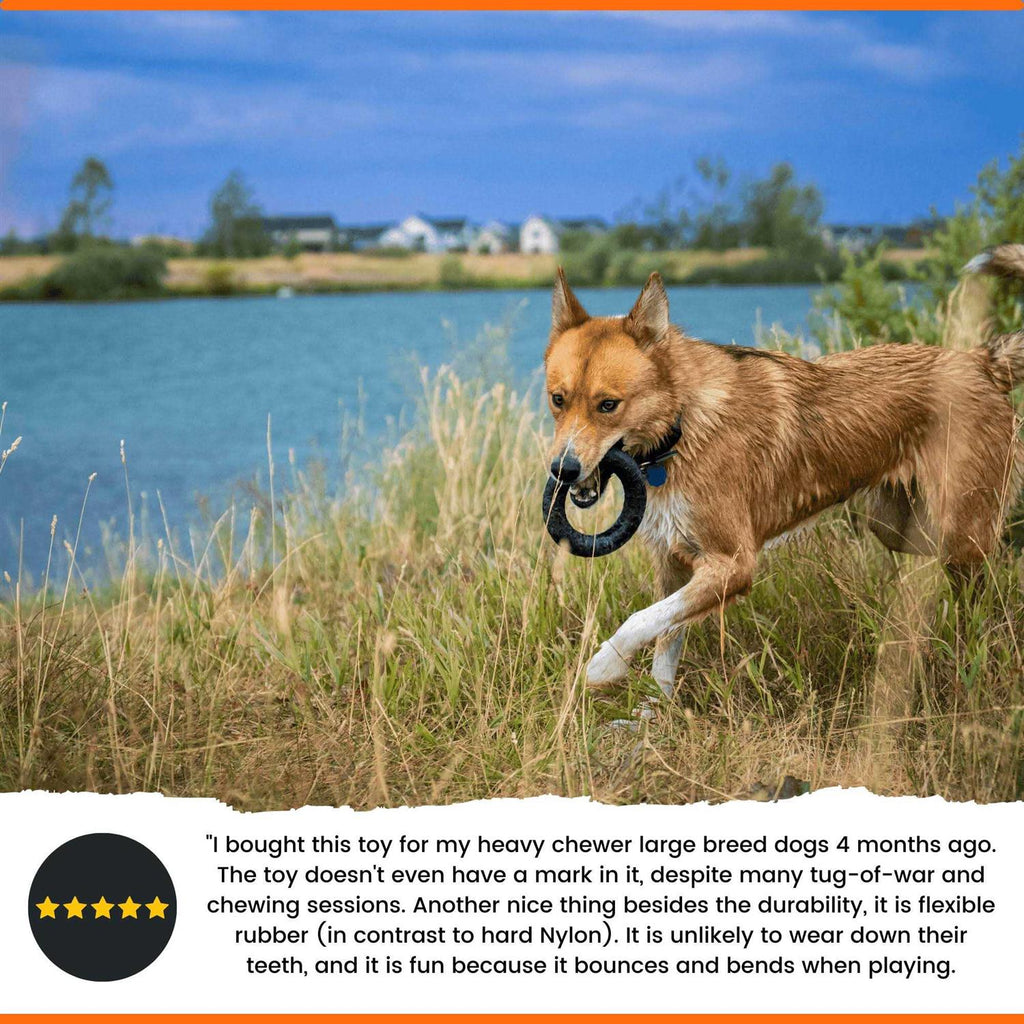 Dog Chew Toy V9100