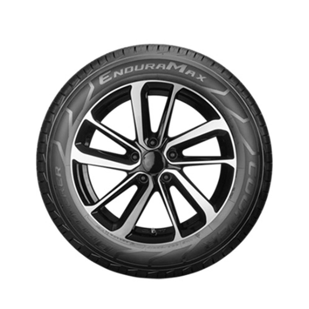 All Weather 225/65R17 102H SUV/Crossover Tire V2130