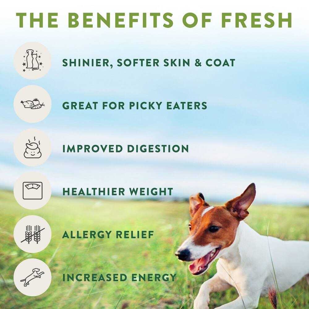 Tender Chicken Recipe Dog Food Roll G2870