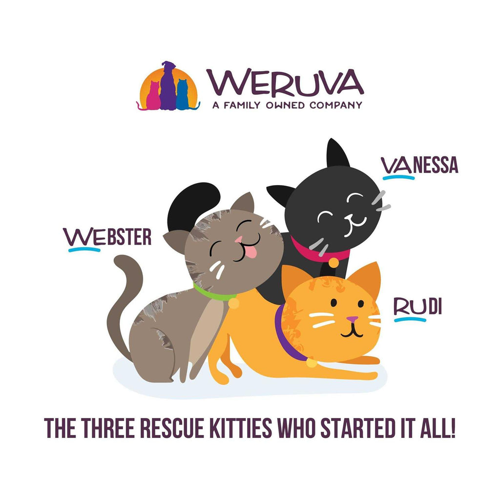 Kitten Variety Pack W731007