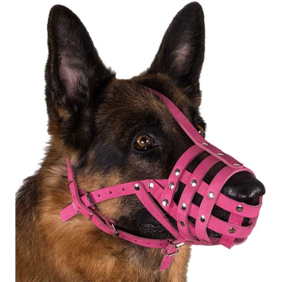 Leather Basket Dog Muzzle L948726