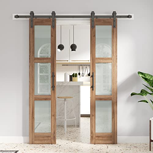 Double 18 x 84 inch Glass Barn Doors with Hardware Kit T103611