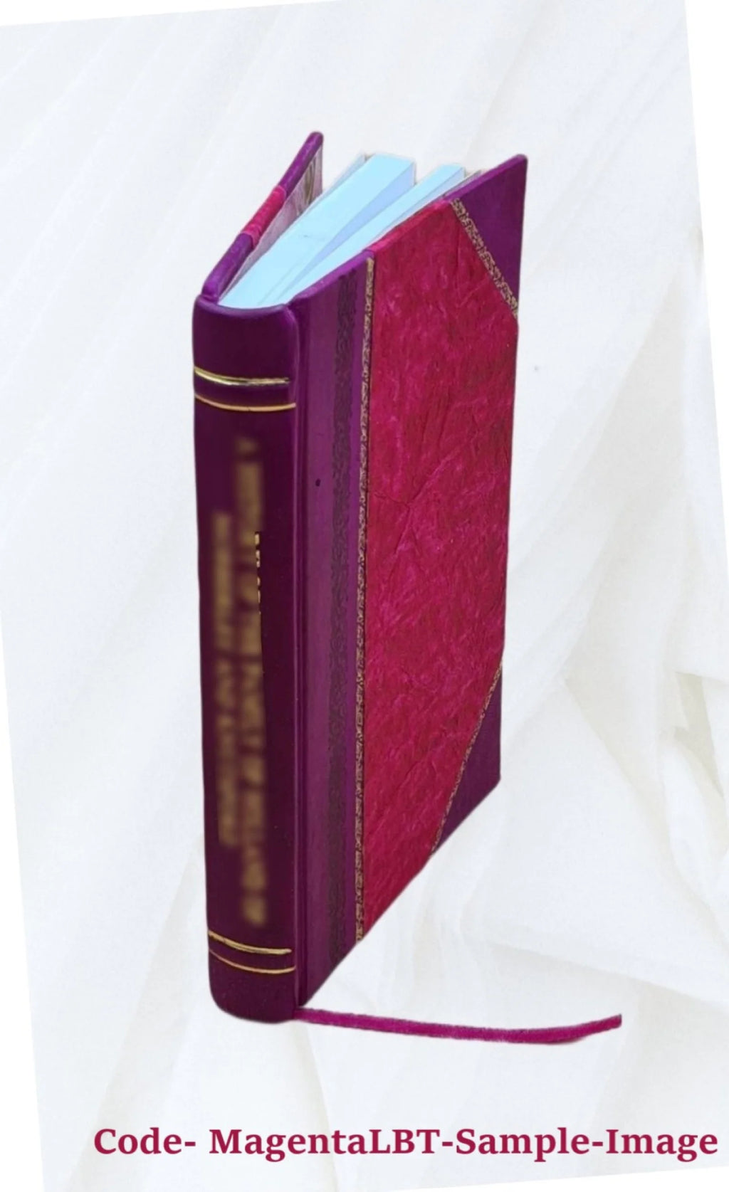 Proceedings of the Board of commissioners of the Washington Park of the city of Albany, from May 8th, 1869, to January 1st, 1876. Volume 1881-1884 1884 [Leather Bound] L83843