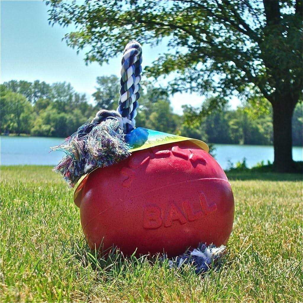 Pet Supplies F75874