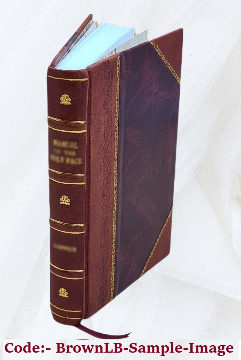 Leather Bound Book N259