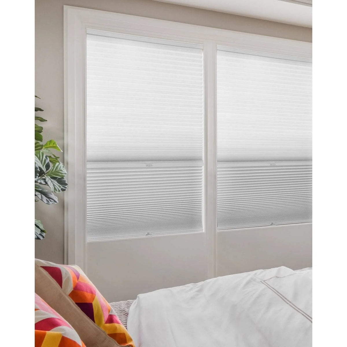 Cordless Cellular Shades D430
