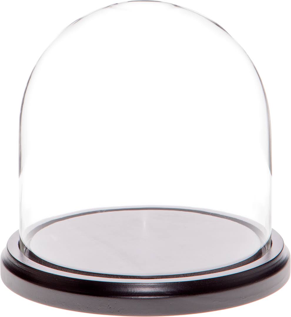 5.5" x 5.5" Glass Display Dome Cloche (Black Wood Base) I710367