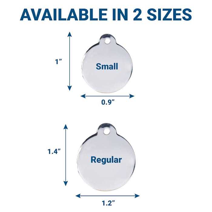 Stainless Steel Personalized Dog & Cat ID Tag W883