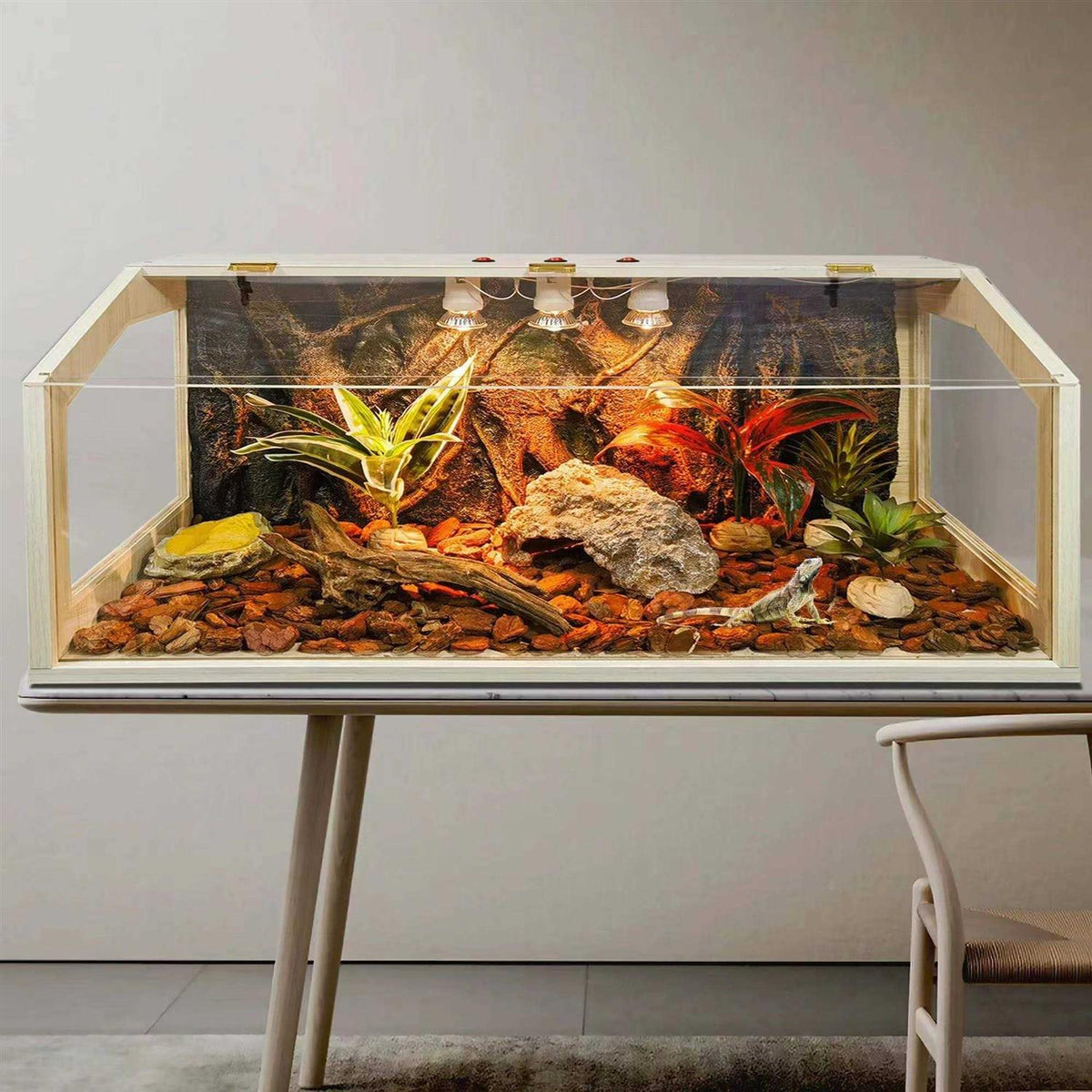 21 Gallon to 68 Gallon Reptile Terrarium Tank with Roof Door V9678