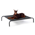 Large Elevated Cooling Outdoor Dog Bed Q948180