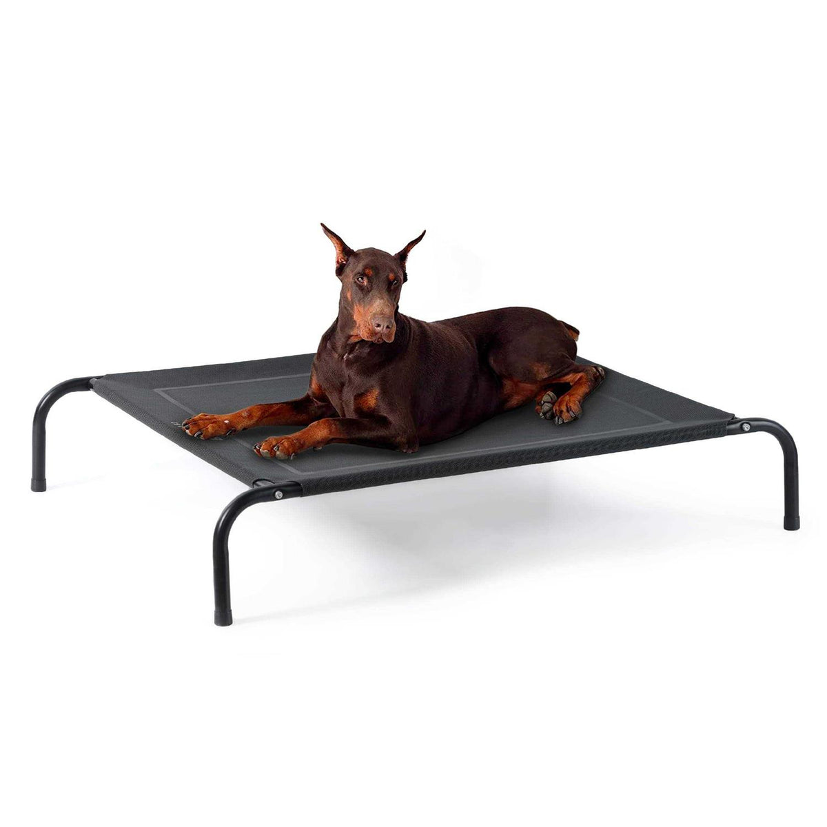 Large Elevated Cooling Outdoor Dog Bed Q948180