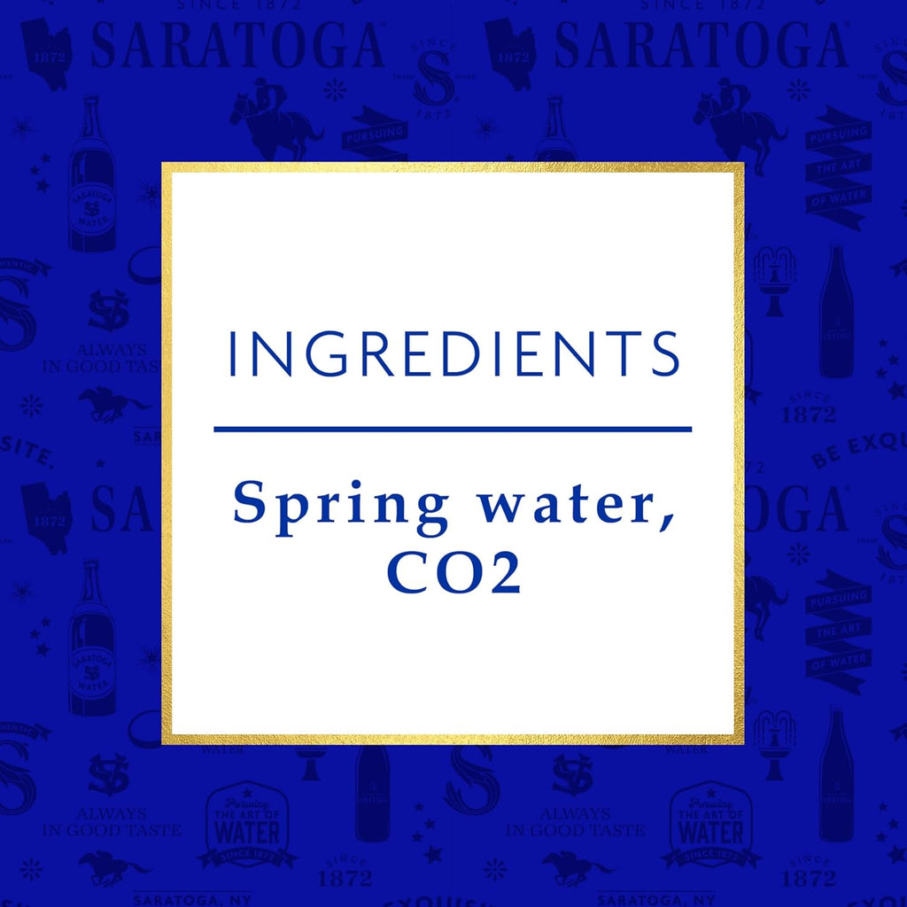 16 Oz Sparkling Spring Water Bottle PET U43051