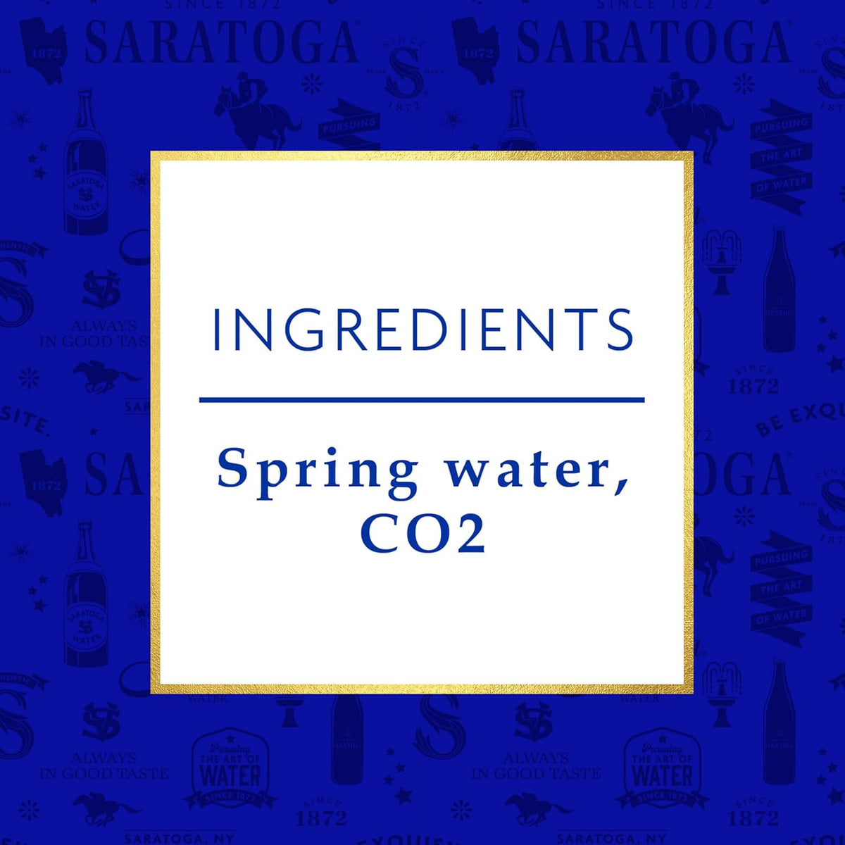16 Oz Sparkling Spring Water Bottle PET U43051