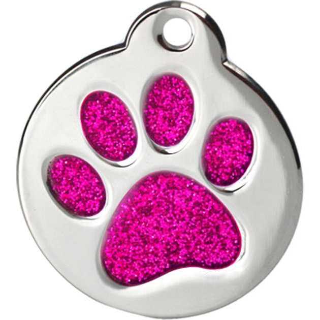 Stainless Steel Personalized Dog & Cat ID Tag W883