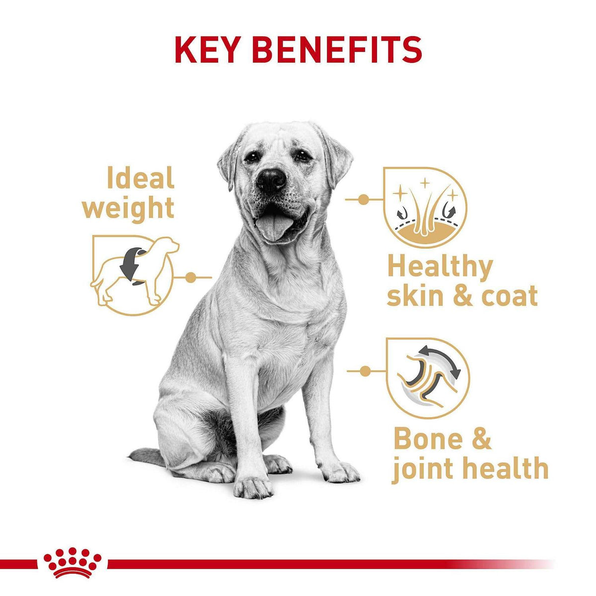 Adult Dry Dog Food O595