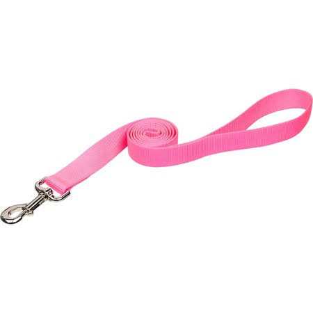 Exercise Saucer H52539