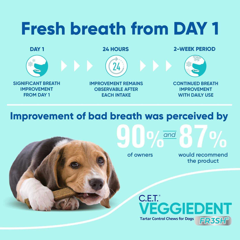 VeggieDent Tartar Control Chews for Dogs Y310849