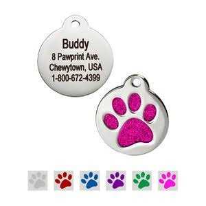 Stainless Steel Personalized Dog & Cat ID Tag W883