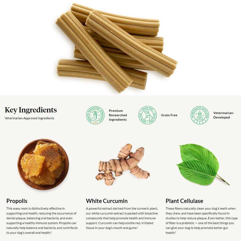 All Natural Canine Dental Chews Sticks V653153