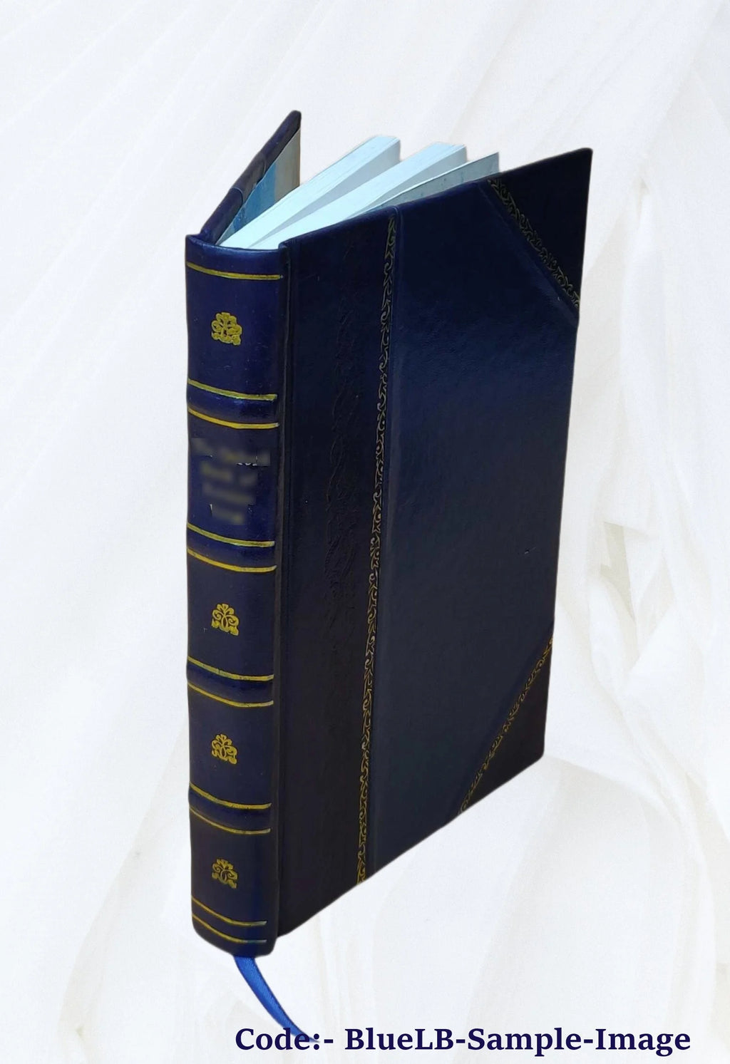 Leather Bound Book N259