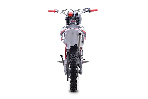 250 5 Speed Manual Electric Start Inverted Forks Adjustable Shocks L895