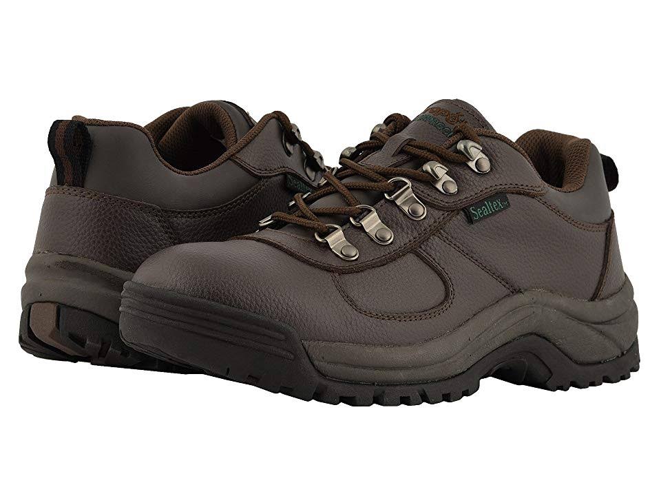Brown Low Men's Shoes X602665