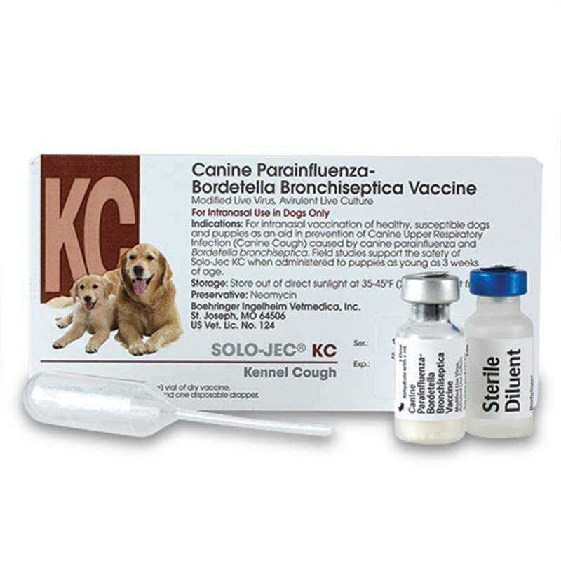 Intranasal Vaccine C539437