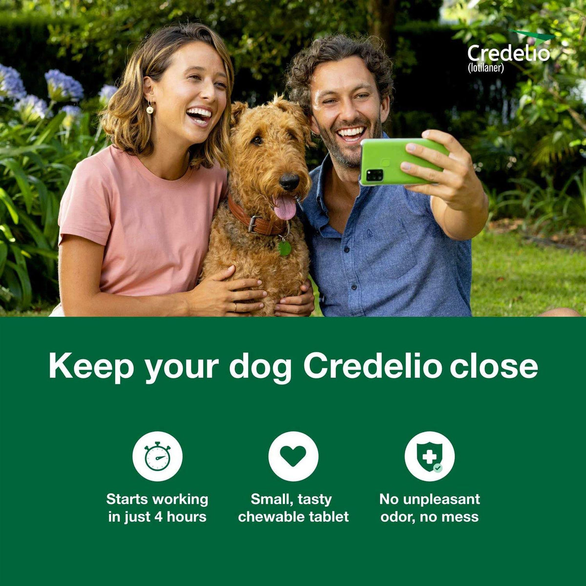 Chewable Tablet for Dogs Z353