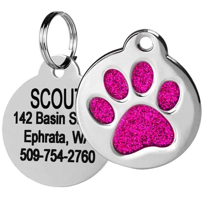 Stainless Steel Personalized Dog & Cat ID Tag W883