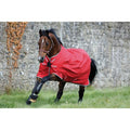 Black/Teal Turnout Sheet Q107598