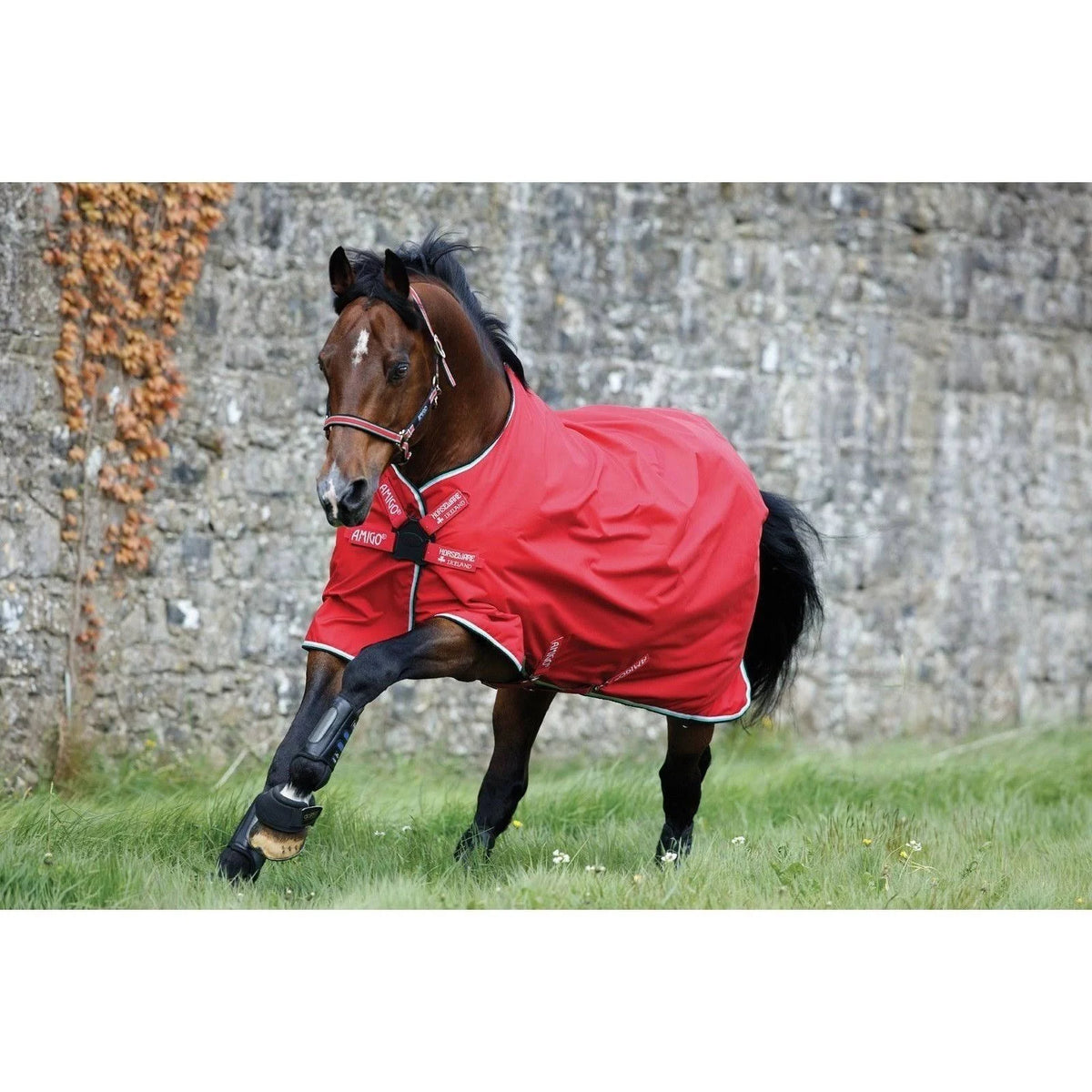 Black/Teal Turnout Sheet Q107598