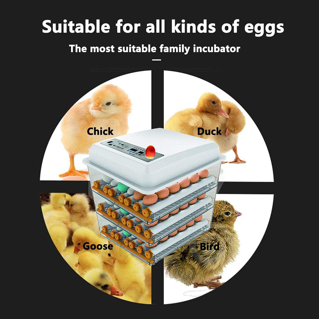 170 Egg Incubator with Automatic Egg Turning and Temperature Humidity Control J456