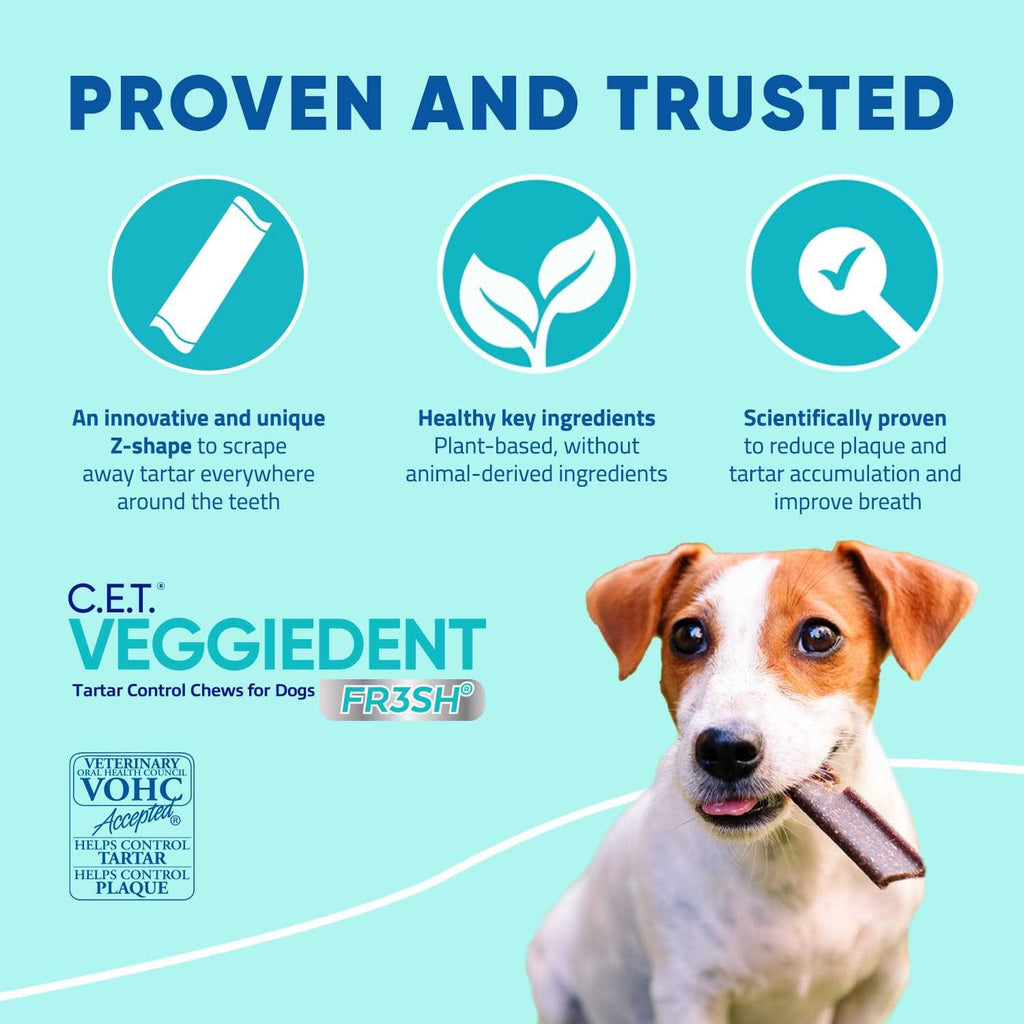 VeggieDent Tartar Control Chews for Dogs Y310849