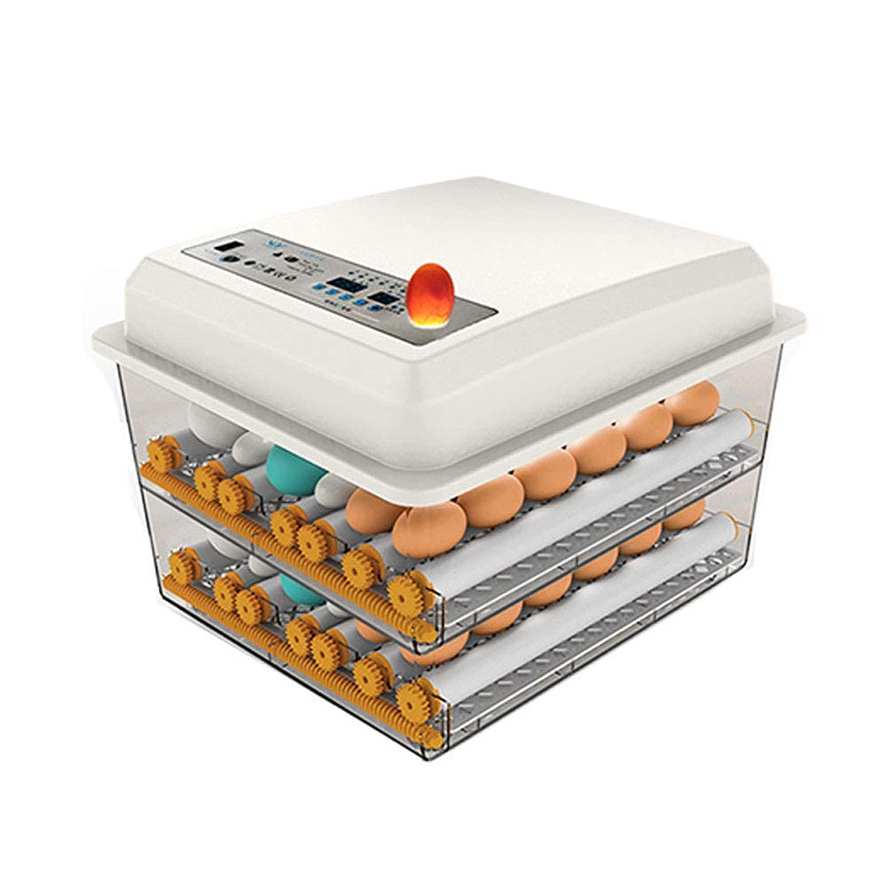170 Egg Incubator with Automatic Egg Turning and Temperature Humidity Control J456