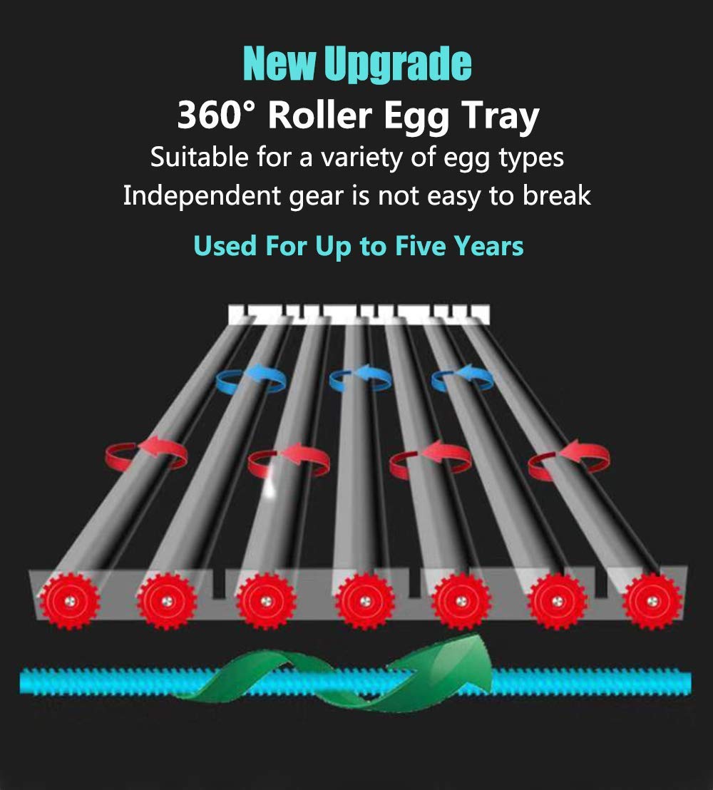 170 Egg Incubator with Automatic Egg Turning and Temperature Humidity Control J456