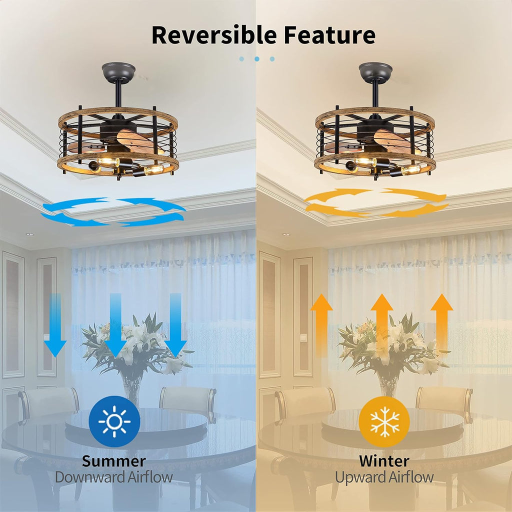20-inch Caged Ceiling Fan with Light U440